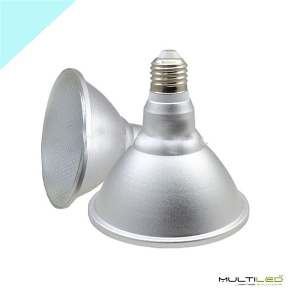 Bombilla Led Par38 15W IP65 especial exteriores Blanco Frio